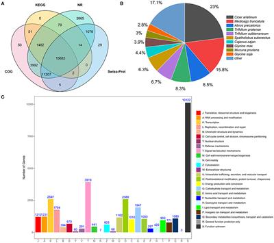 Analyses on Flavonoids and Transcriptome Reveals Key MYB Gene for Proanthocyanidins Regulation in Onobrychis Viciifolia